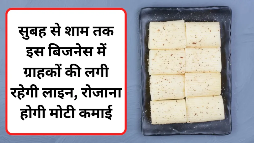 Soya Paneer Business